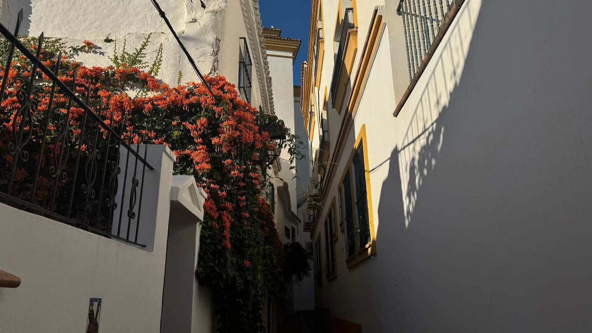 Green Village Marbella 0*,  Spain